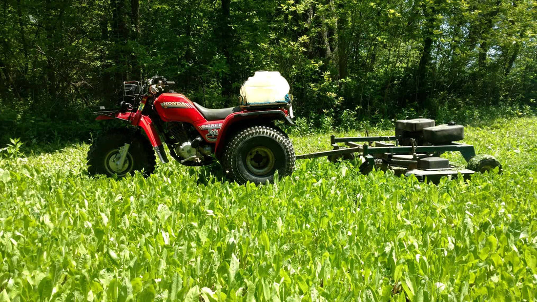 A Weed-Free Fall Food Plot