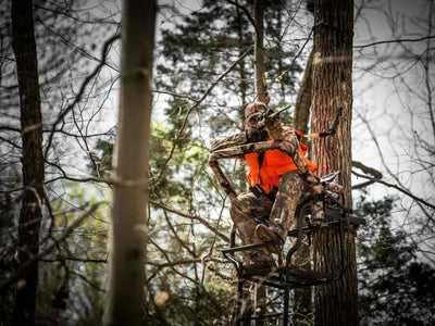 Are you the Predator?