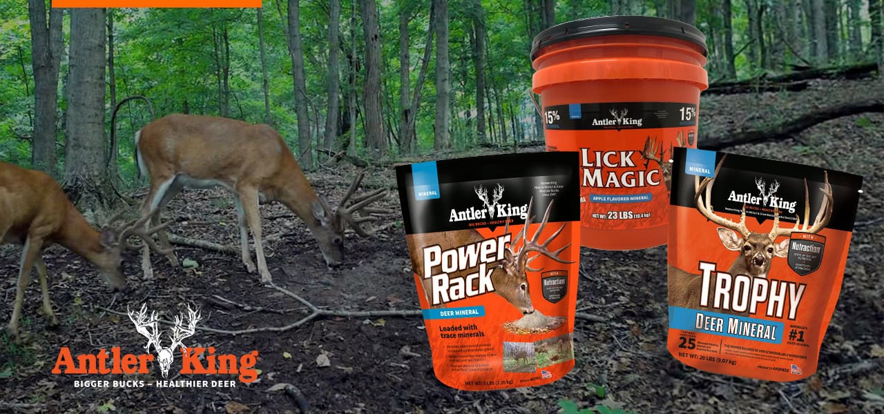 What mineral products should I use?