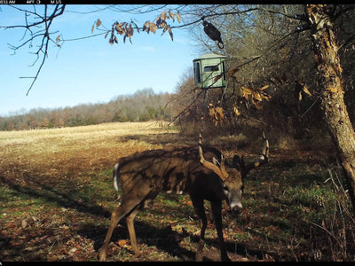Not All Minerals Are Created Equal