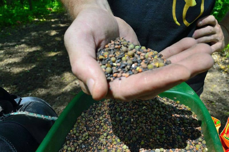 Food Plot Seed Labeling…May Surprise You!