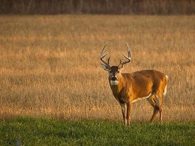 The Journey…Part 1