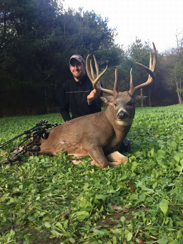 Cereal Rye: Best Uses for Food Plots