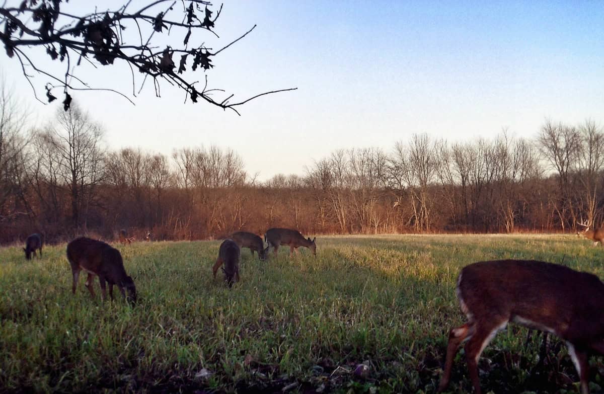 The Journey…Part 2