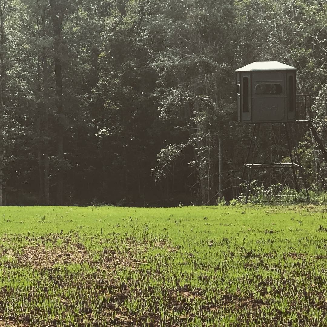 Fall/Winter/Spring Food Plot Blend