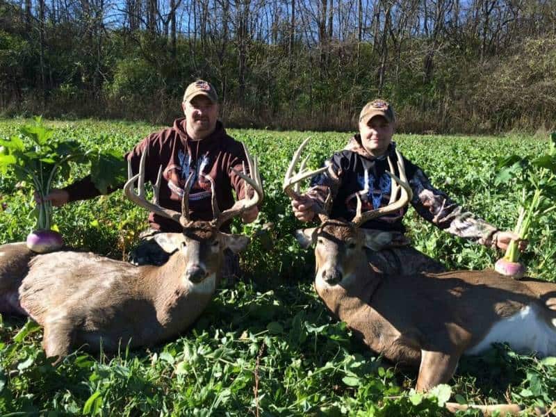 Antler King Honey Hole Food Plot Mix - Thumbnail 2