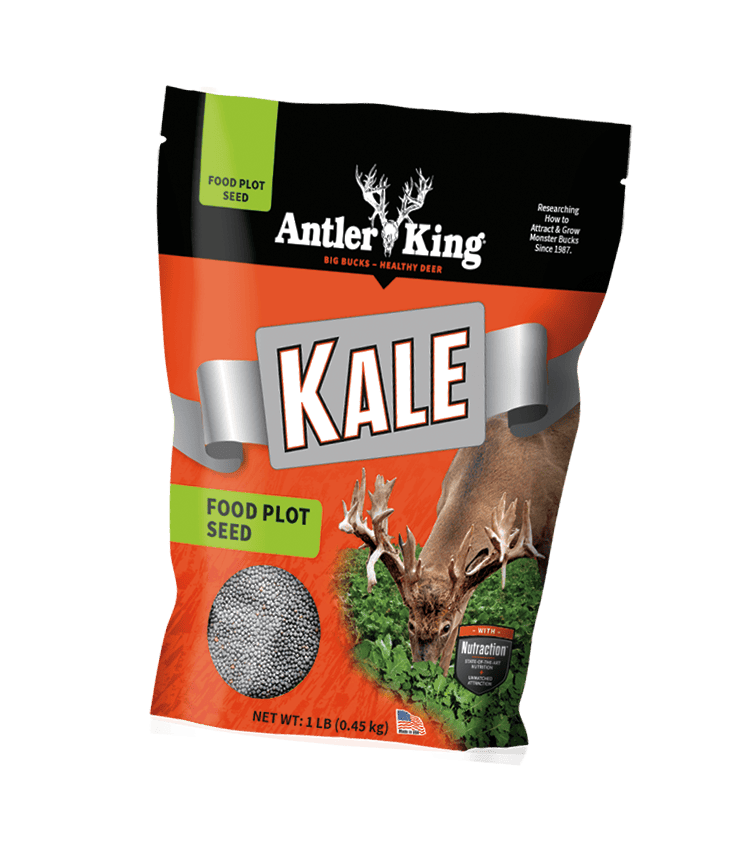 Kale (1lb.)