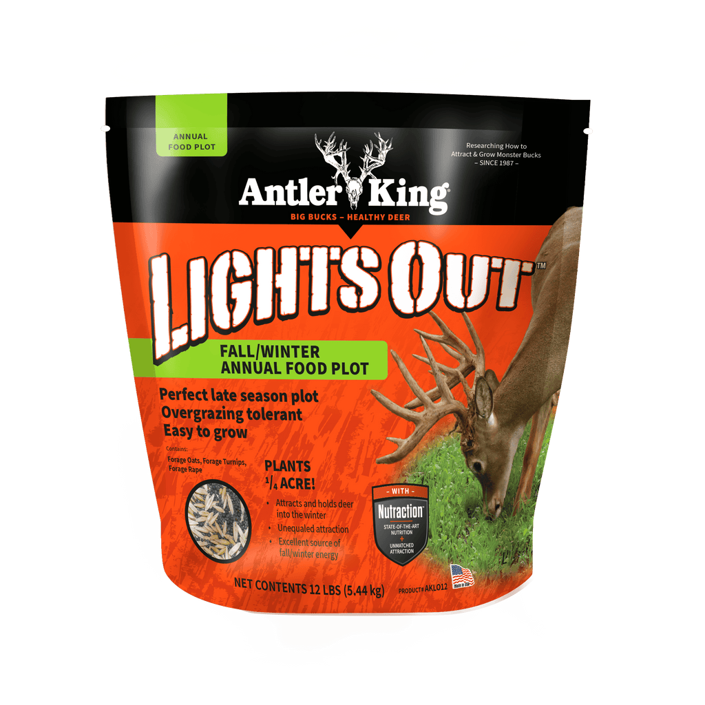 Lights Out Forage Oats