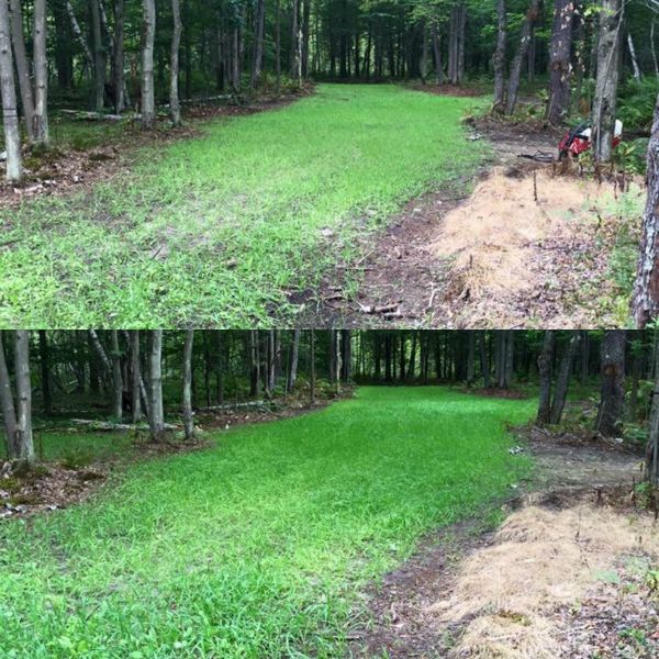 jolt herbicide Jolt Foliar Fertilizer