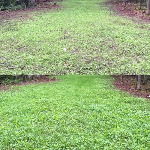 jolt herbicide Jolt Foliar Fertilizer