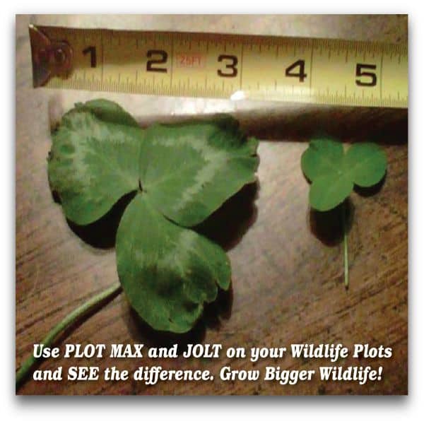 Jolt Foliar Fertilizer