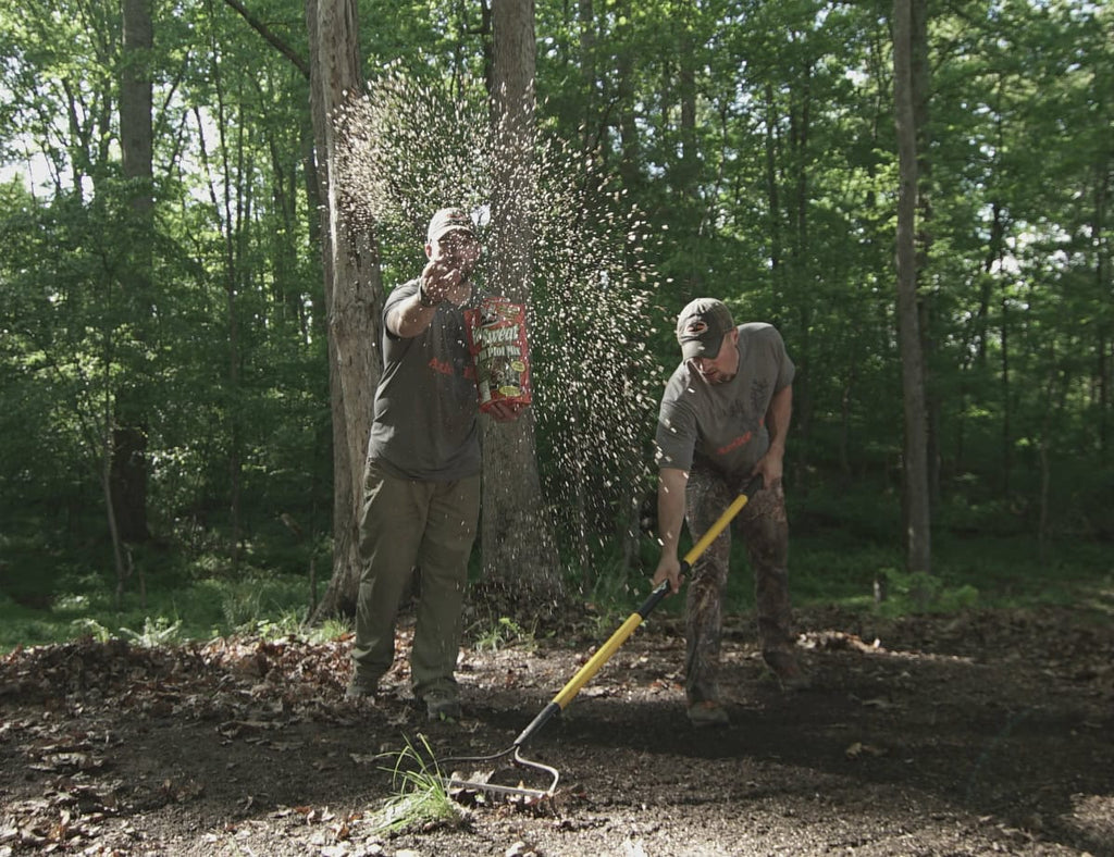 No Sweat No TIll Plot Mix