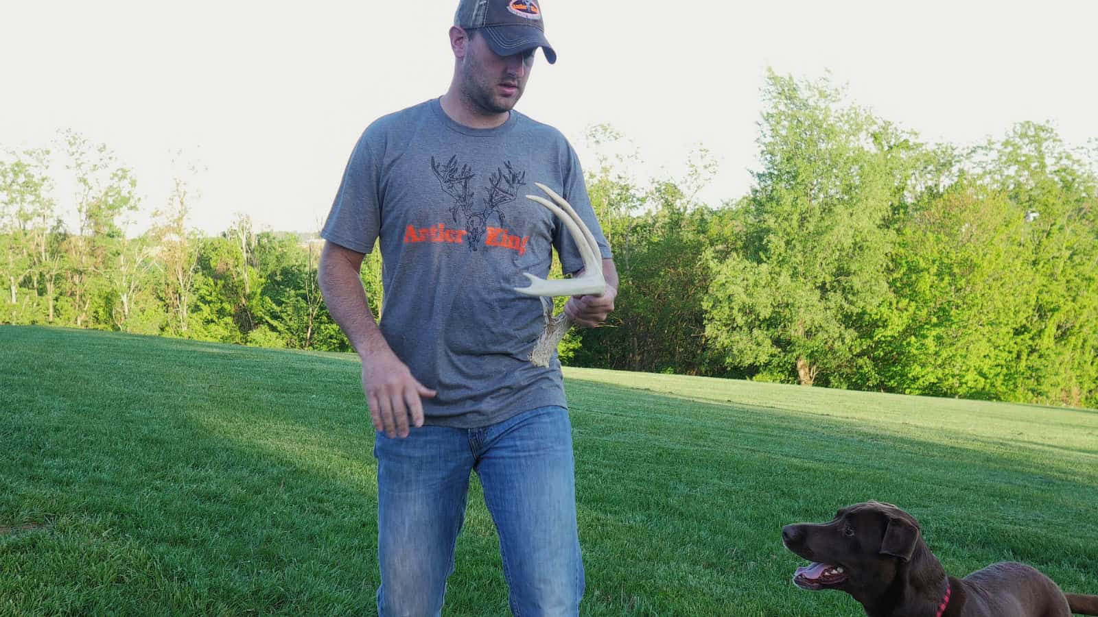 Distressed Gray Antler King Logo Shirt.