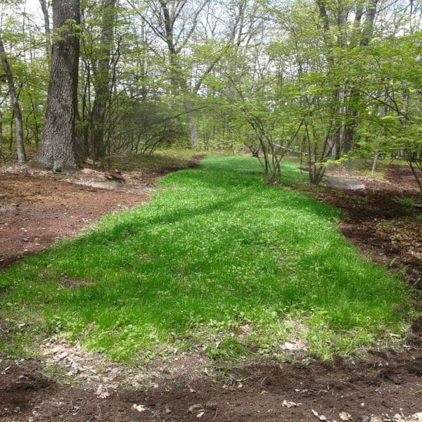 No Sweat No TIll Plot Mix