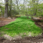 No Sweat No TIll Plot Mix