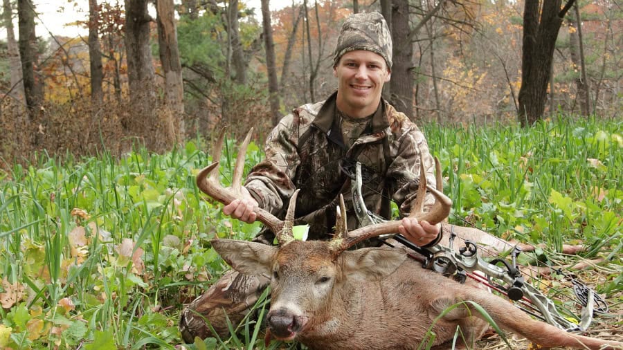 Lights Out Forage Oats