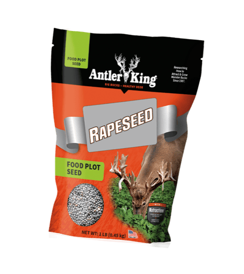 Rape Seed (1 lb.)