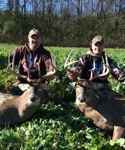 antler king deer