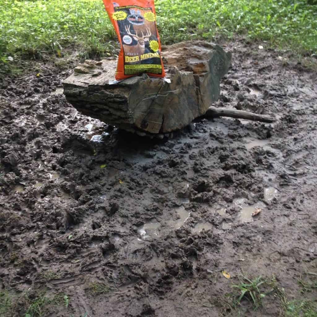 Trophy Deer Mineral Antler King