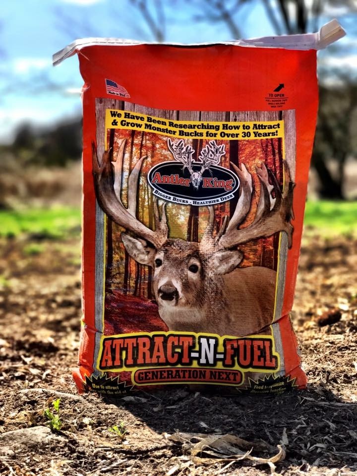 A Well-Balanced Diet Year-Round Is Key in Supporting Antler Growth