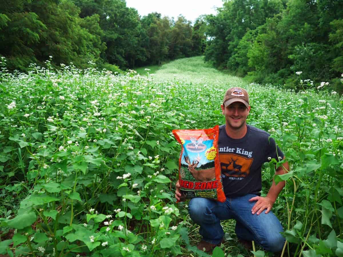Red Zone Antler King